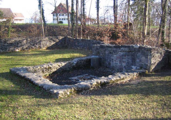 Burgruine Friedberg, Meilen, Switzerland, Switzerland
